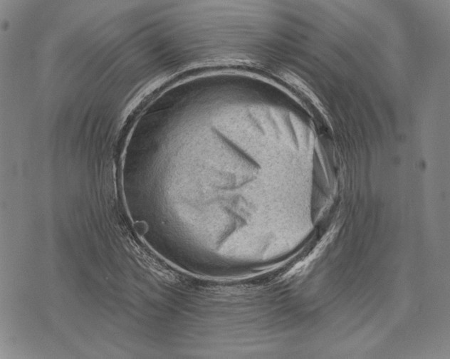 X0000076220781200610191532