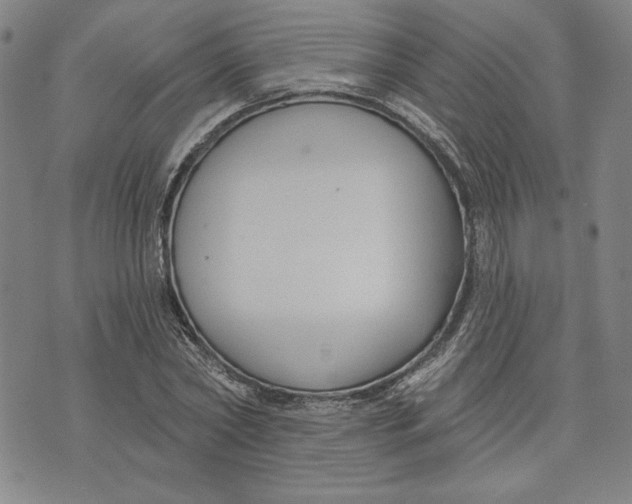 X0000076220782200610191532