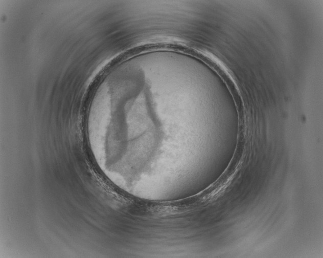 X0000076220783200610191532