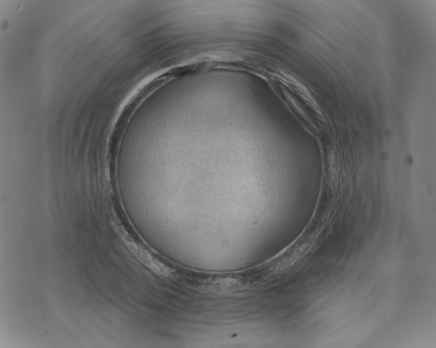 X0000076220784200610191531