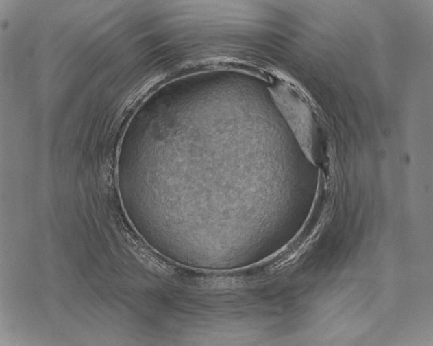 X0000076220785200610191531