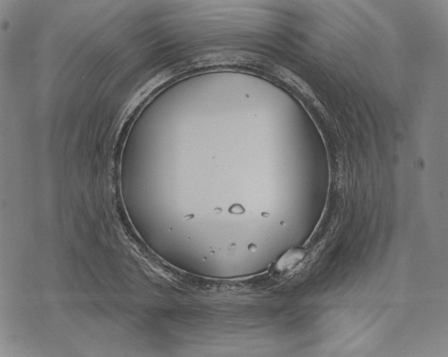 X0000076220786200610191531