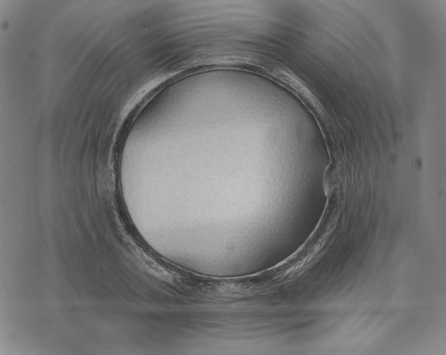 X0000076220787200610191531