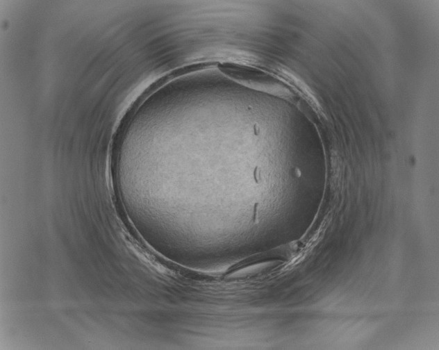 X0000076220788200610191531