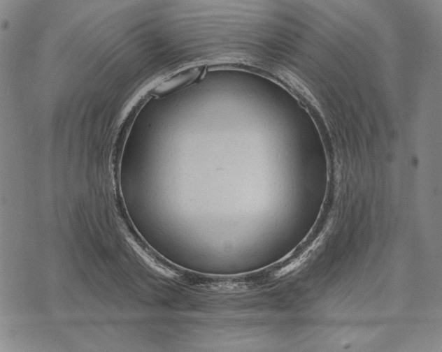 X0000076220789200610191531