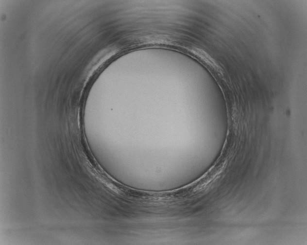 X0000076220790200610191531