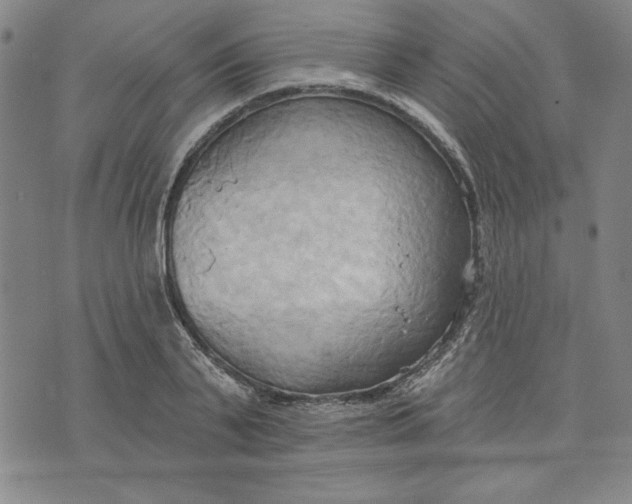 X0000076220791200610191531