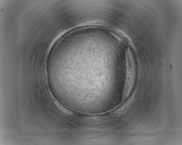 X0000076220792200610191531