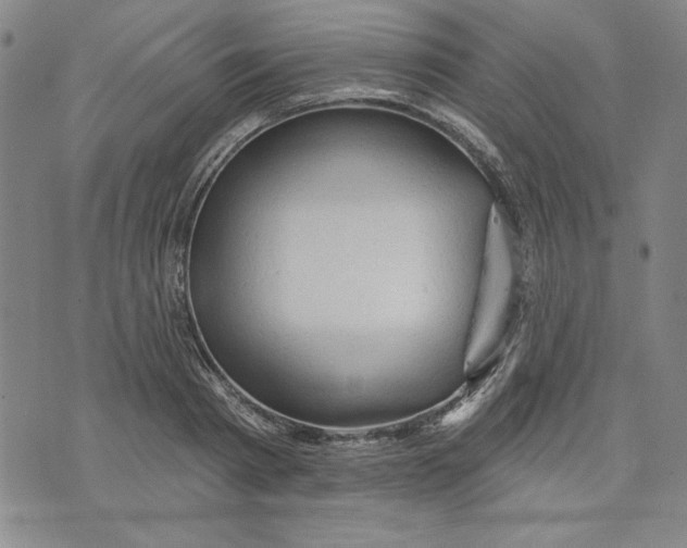 X0000076220793200610191531