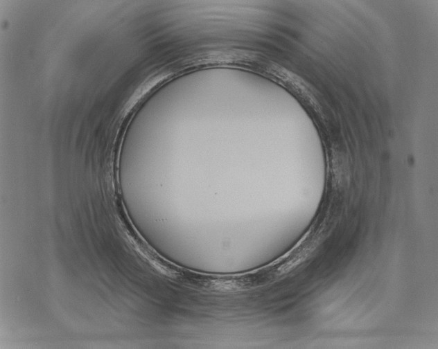 X0000076220794200610191531