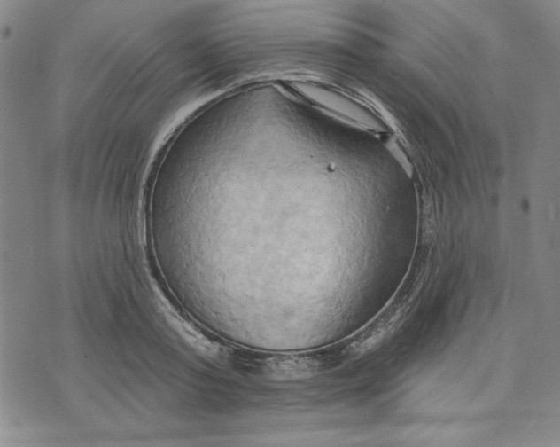 X0000076220795200610191531