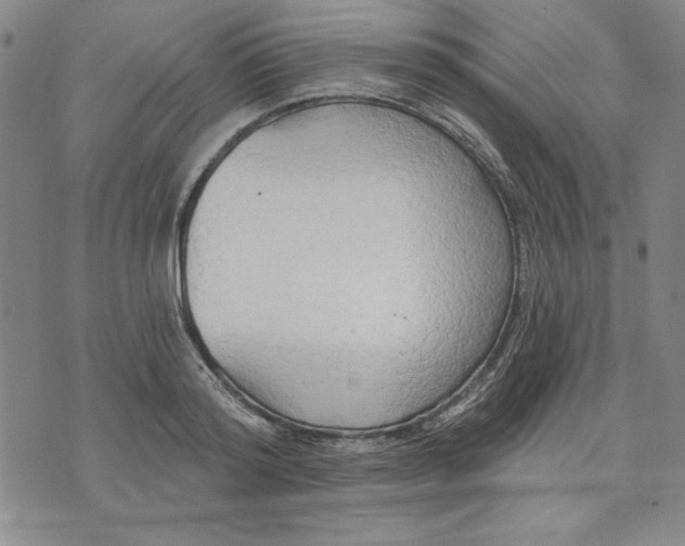 X0000076220796200610191531