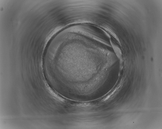 X0000076220797200610191531