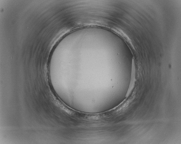 X0000076220798200610191531