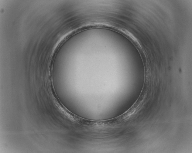 X0000076220799200610191531