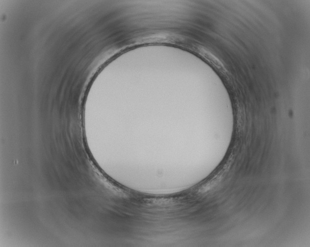 X0000076220800200610191531