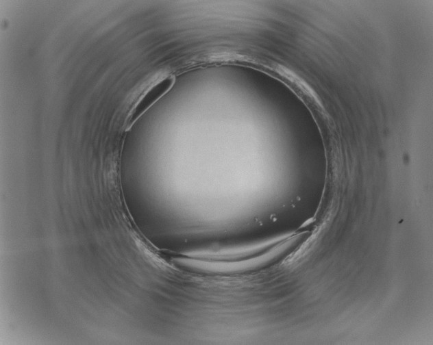 X0000076220801200610191531