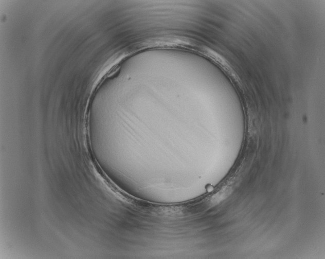 X0000076220802200610191531