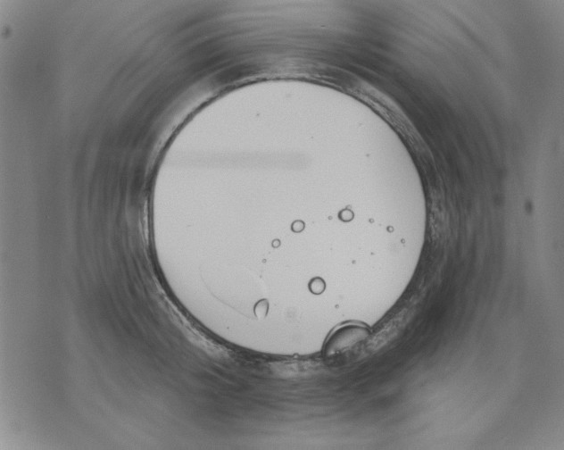 X0000076220804200610191531