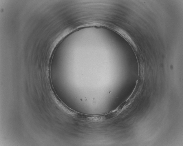 X0000076220805200610191531