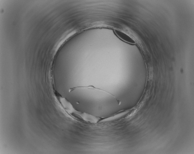 X0000076220806200610191531