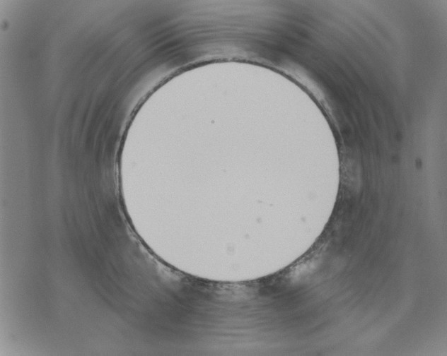 X0000076220807200610191531