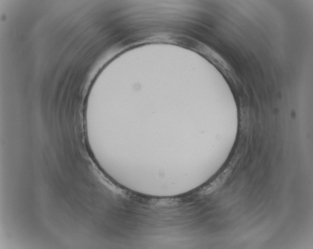 X0000076220808200610191531