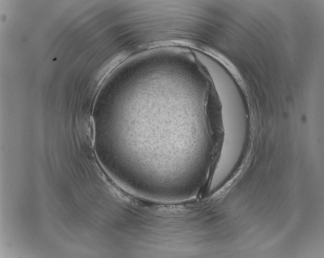 X0000076220809200610191531