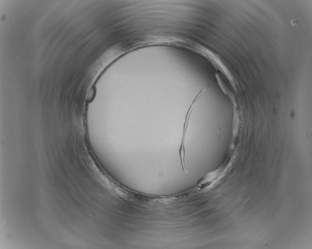 X0000076220810200610191531