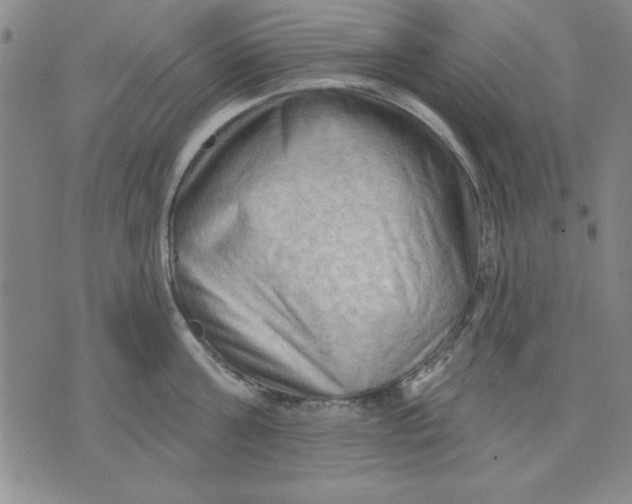 X0000076220811200610191531