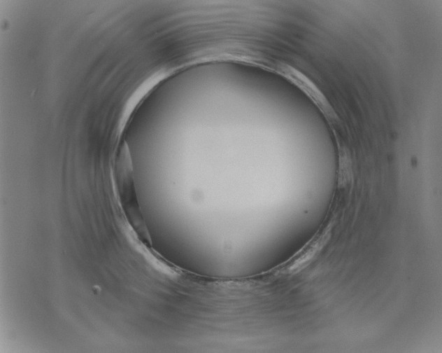 X0000076220812200610191531