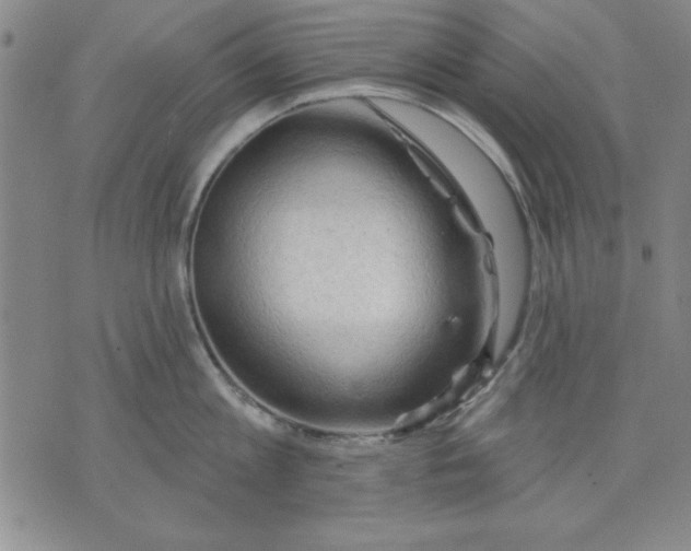 X0000076220813200610191531