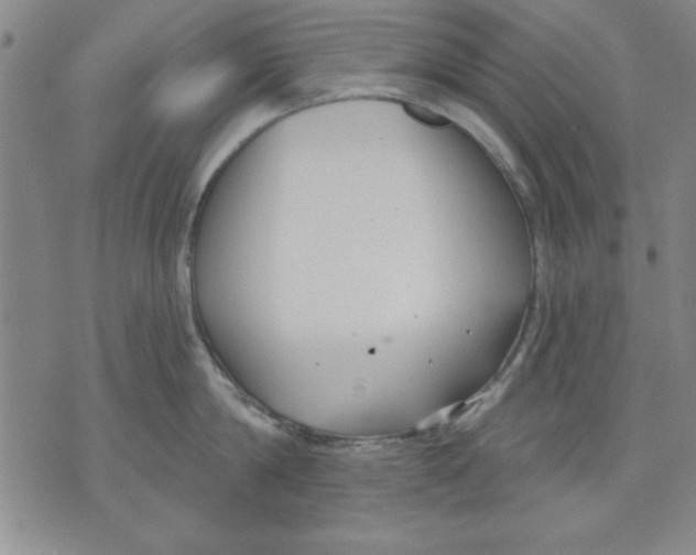 X0000076220814200610191531