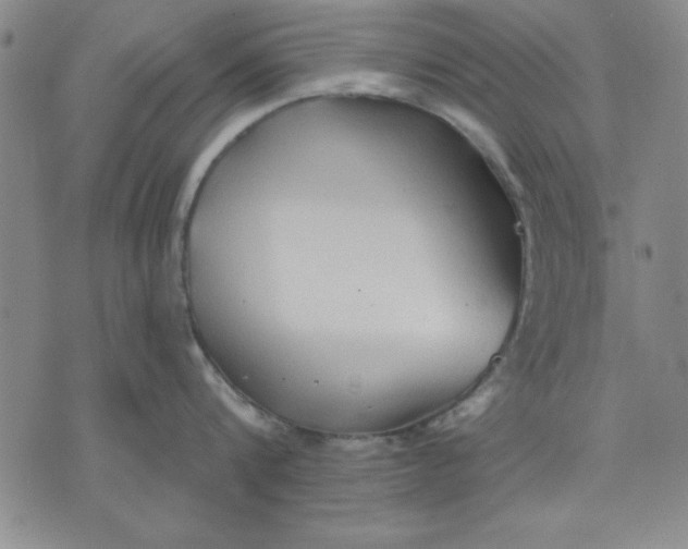 X0000076220816200610191531