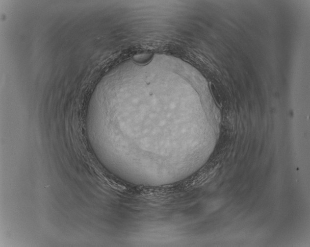 X0000076220817200610191530