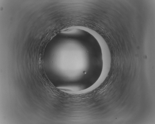 X0000076220818200610191530