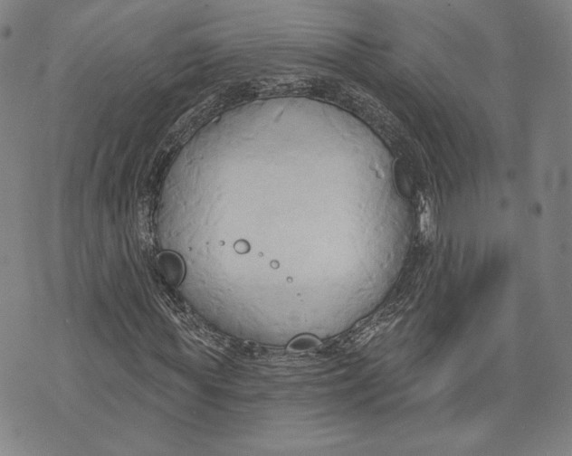 X0000076220819200610191530