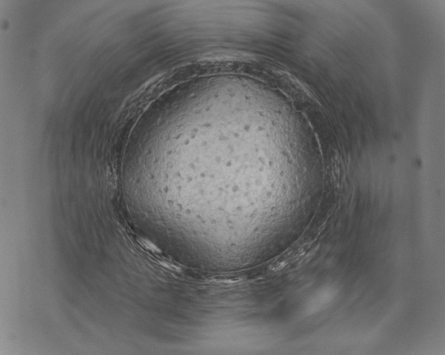 X0000076220821200610191530