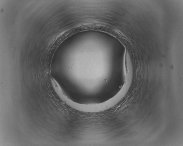 X0000076220822200610191530