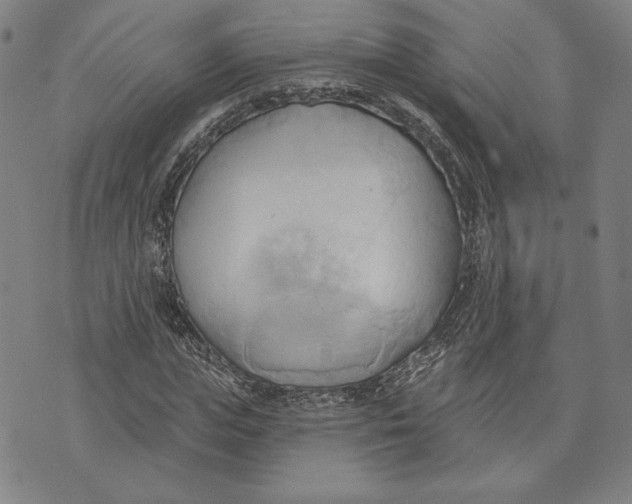 X0000076220823200610191530