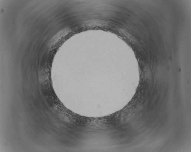 X0000076220824200610191530