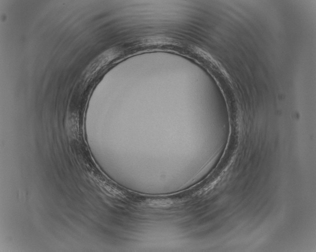 X0000076220825200610191530