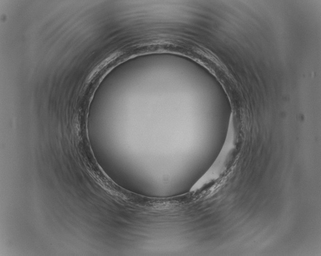 X0000076220826200610191530