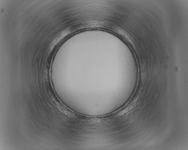 X0000076220827200610191530