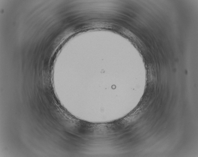 X0000076220828200610191530