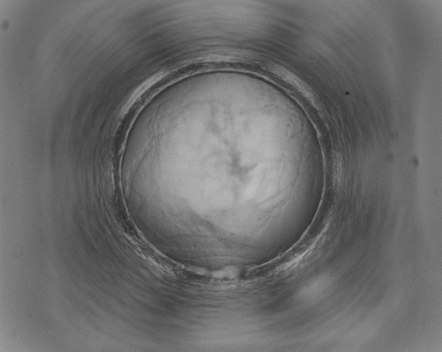 X0000076220829200610191530