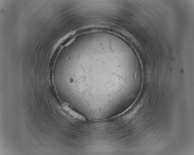 X0000076220830200610191530