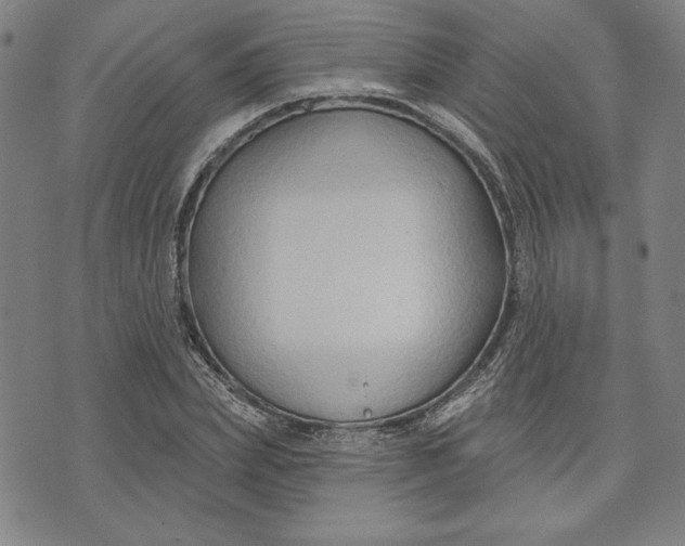 X0000076220831200610191530