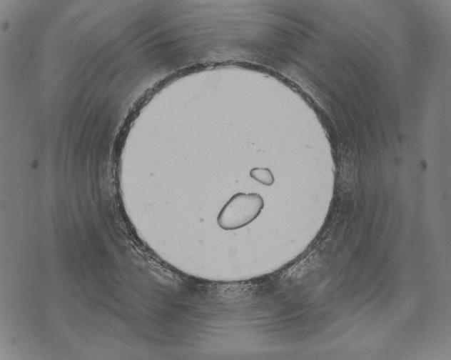 X0000076220832200610191530