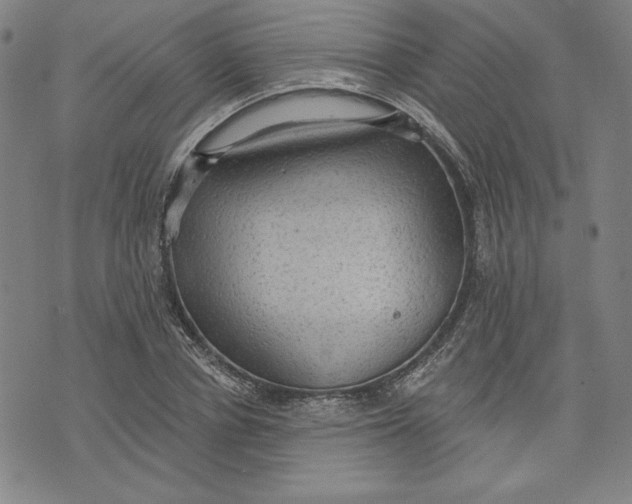 X0000076220834200610191530